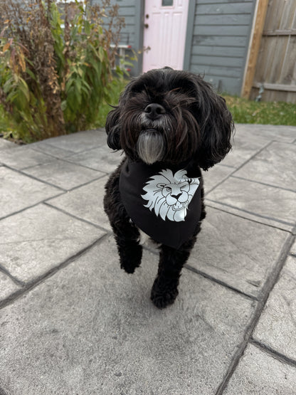 Black and White Champion Bandana for Pets