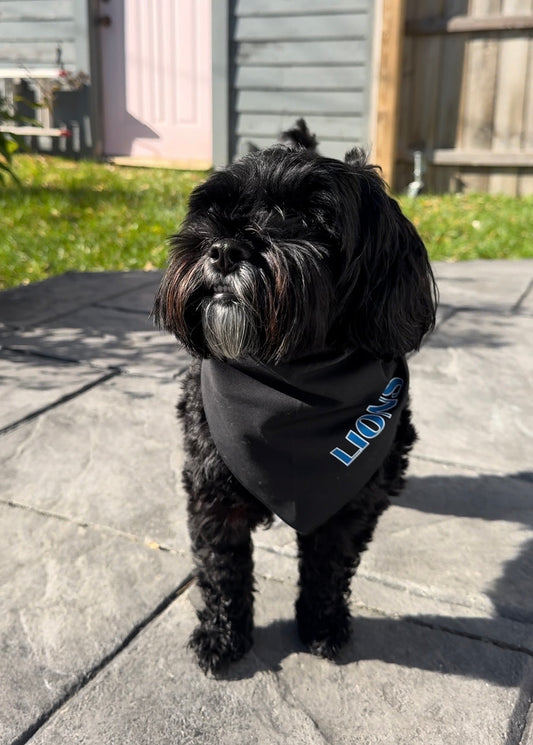 Blue and White Champion Bandana for Pets